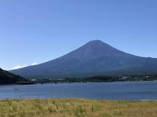 IMG_7851.JPG