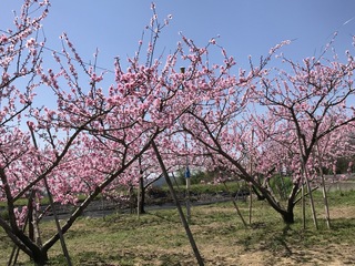 240401-01.jpg
