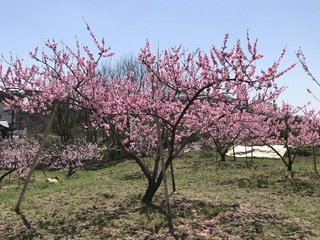 240401-02.jpg