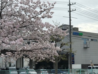 240408-05.jpg
