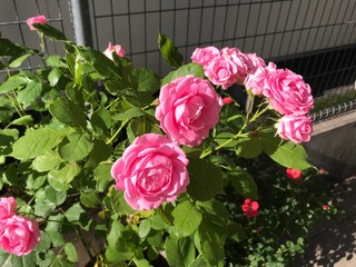 240514-03.jpg