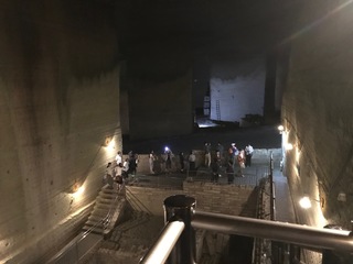 IMG_1271.jpg