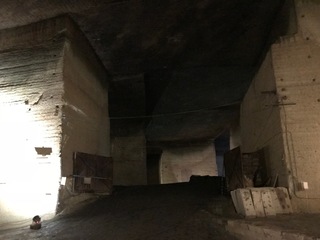 IMG_1273.jpg