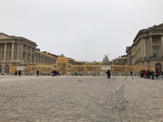 IMG_2251.jpg